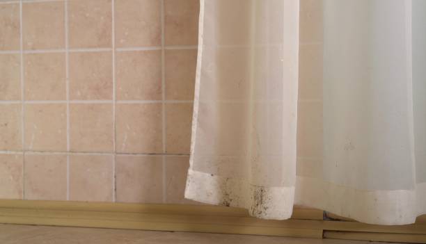Best Biohazard Mold Removal  in Centerville, CA