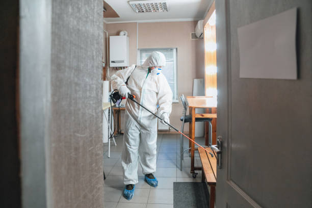 Best Basement Mold Removal  in Centerville, CA