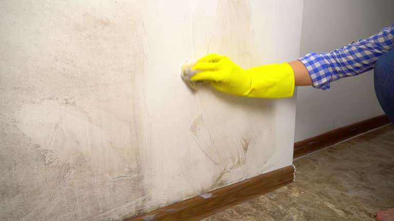 Best Indoor Air Quality Assessment  in Centerville, CA