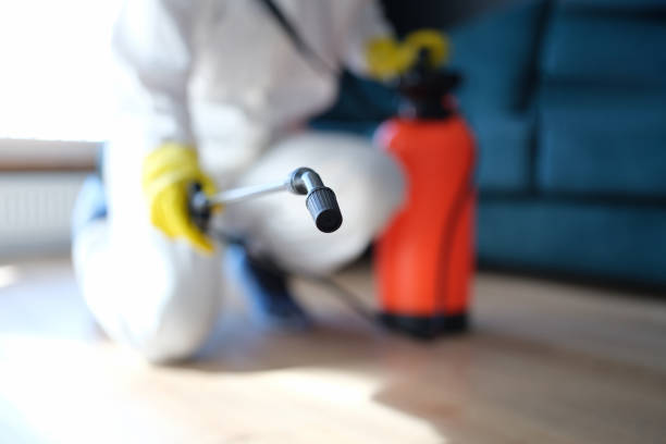 Best Commercial Mold Inspection  in Centerville, CA